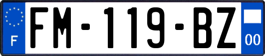 FM-119-BZ