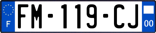 FM-119-CJ
