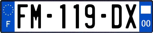 FM-119-DX