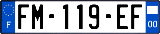 FM-119-EF