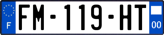FM-119-HT