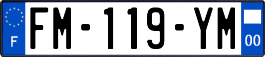 FM-119-YM