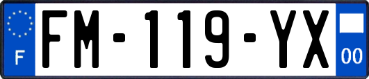 FM-119-YX