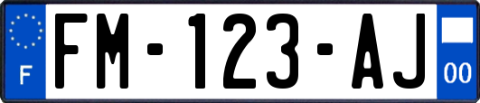 FM-123-AJ