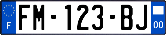 FM-123-BJ