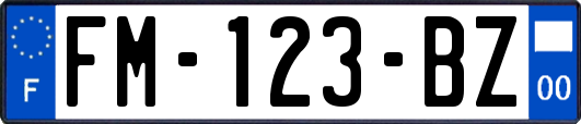 FM-123-BZ