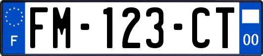 FM-123-CT