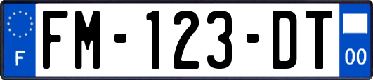 FM-123-DT