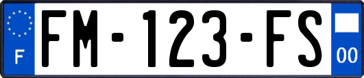 FM-123-FS