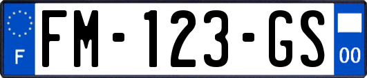 FM-123-GS