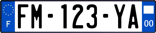FM-123-YA