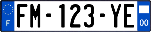 FM-123-YE