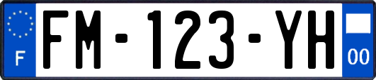 FM-123-YH