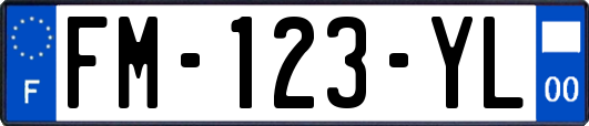 FM-123-YL