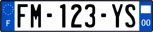 FM-123-YS