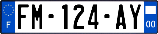 FM-124-AY