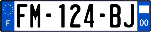 FM-124-BJ