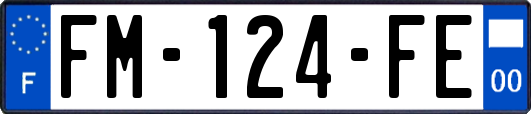 FM-124-FE