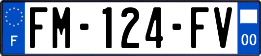 FM-124-FV