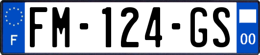 FM-124-GS