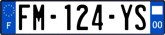 FM-124-YS