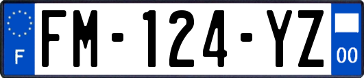 FM-124-YZ