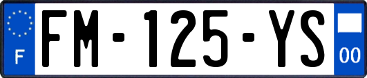 FM-125-YS