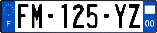 FM-125-YZ