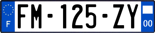 FM-125-ZY
