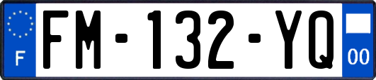 FM-132-YQ