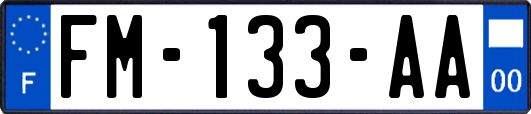 FM-133-AA