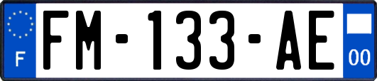 FM-133-AE