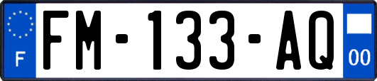 FM-133-AQ