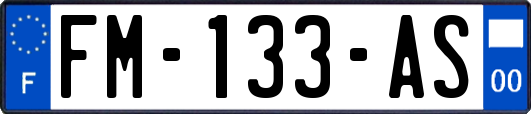 FM-133-AS