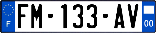 FM-133-AV