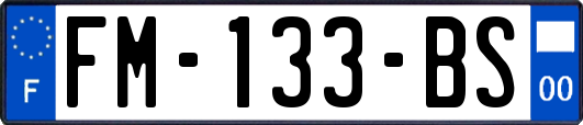 FM-133-BS