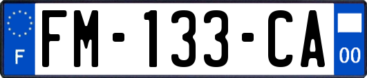FM-133-CA