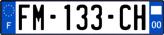 FM-133-CH