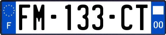 FM-133-CT