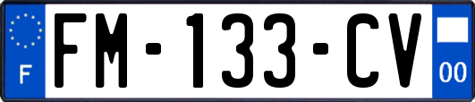 FM-133-CV