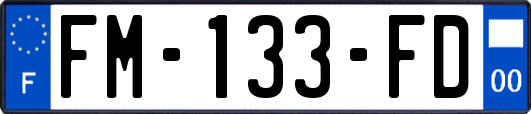 FM-133-FD