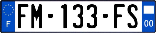 FM-133-FS