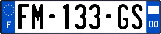 FM-133-GS