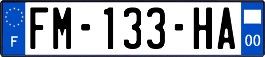 FM-133-HA