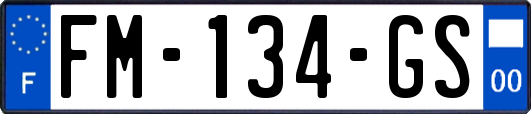 FM-134-GS