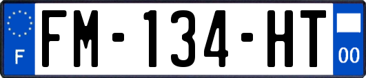 FM-134-HT