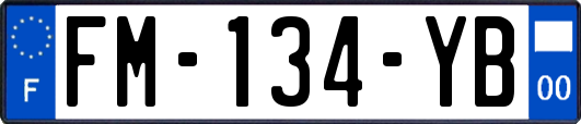 FM-134-YB