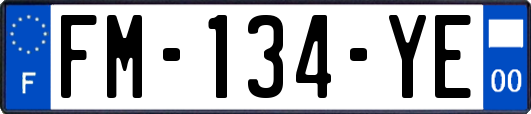 FM-134-YE