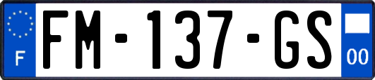 FM-137-GS
