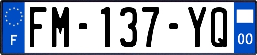 FM-137-YQ